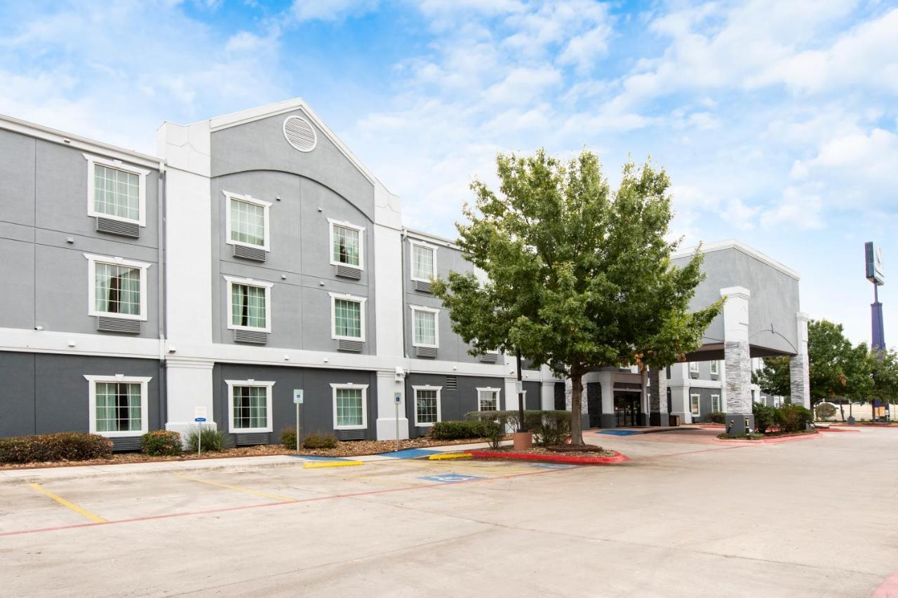 Comfort Inn & Suites Near Medical Center San Antonio Extérieur photo