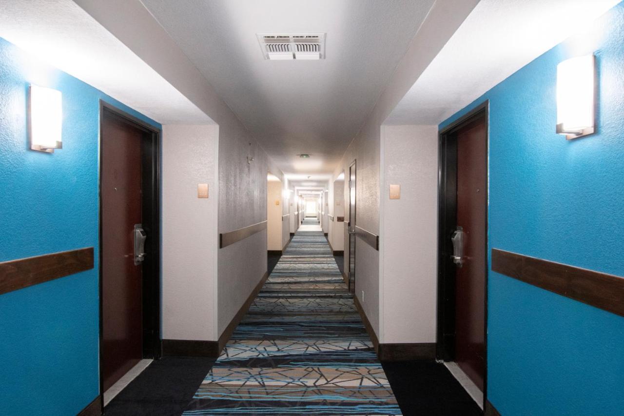 Comfort Inn & Suites Near Medical Center San Antonio Extérieur photo