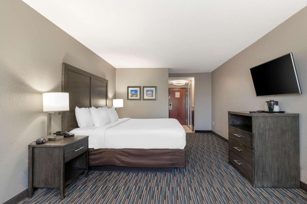 Comfort Inn & Suites Near Medical Center San Antonio Extérieur photo