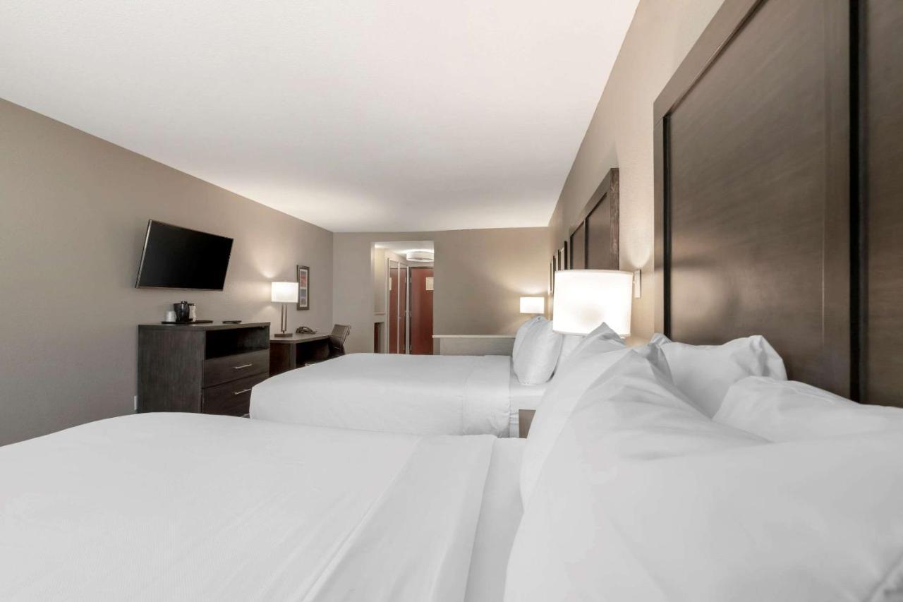 Comfort Inn & Suites Near Medical Center San Antonio Extérieur photo